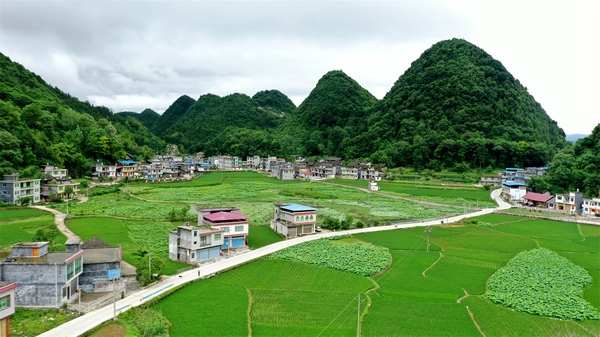 美麗的七三村田園風(fēng)光。