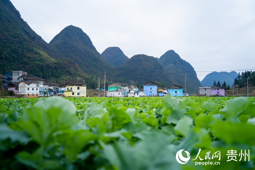 坐落在山谷之中的洪江村。人民網(wǎng)記者 涂敏攝