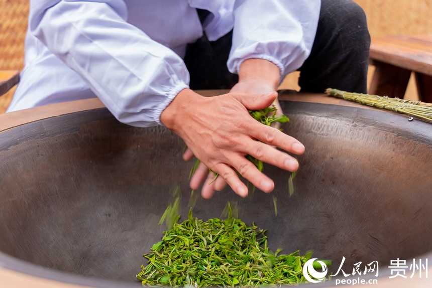 制茶工在炒制剛剛采摘下來的茶芽。人民網(wǎng) 涂敏攝