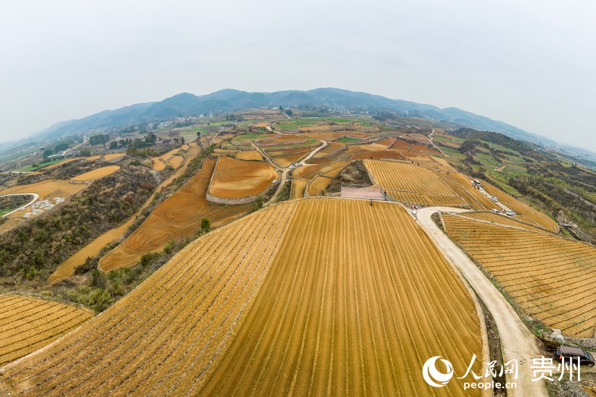 航拍貴州福泉市陸坪鎮(zhèn)羅坳村高標(biāo)準(zhǔn)農(nóng)田示范區(qū)。人民網(wǎng) 涂敏攝