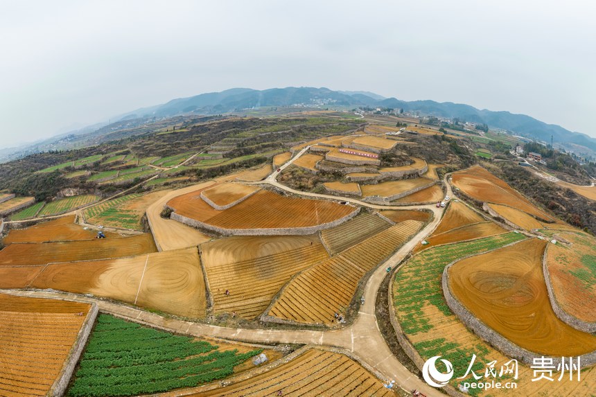 航拍貴州福泉市陸坪鎮(zhèn)羅坳村高標(biāo)準(zhǔn)農(nóng)田示范區(qū)。人民網(wǎng) 涂敏攝