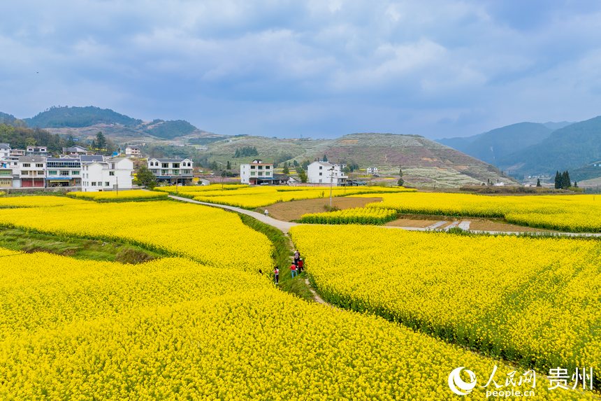 航拍如詩如畫的貴州省遵義市桐梓縣官倉鎮(zhèn)。 人民網(wǎng) 涂敏攝