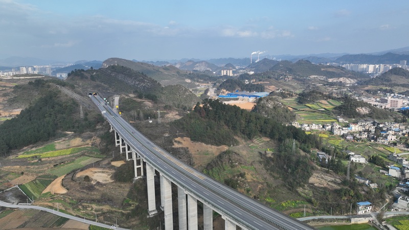 春日時節(jié)的金沙特大橋。陳雪攝