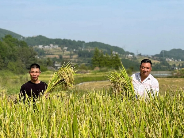 桐梓藏糧于地。桐梓縣融媒體中心供圖