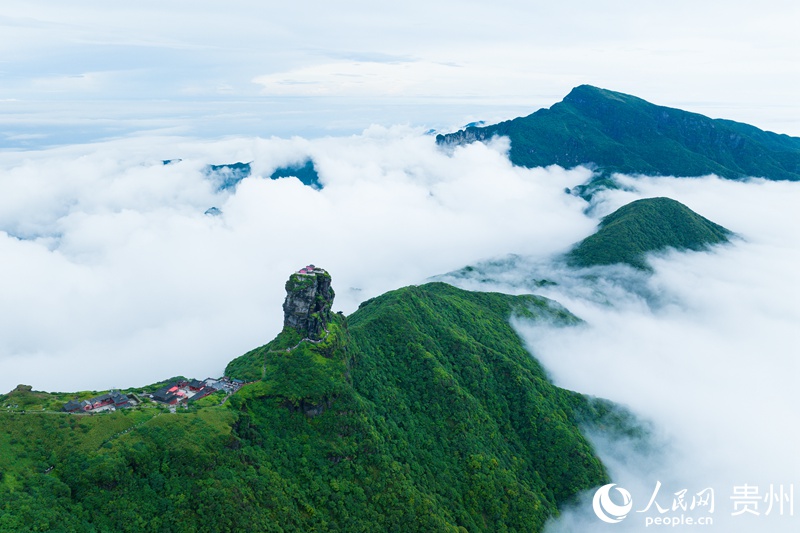 生態(tài)優(yōu)美的梵凈山。人民網(wǎng) 涂敏攝