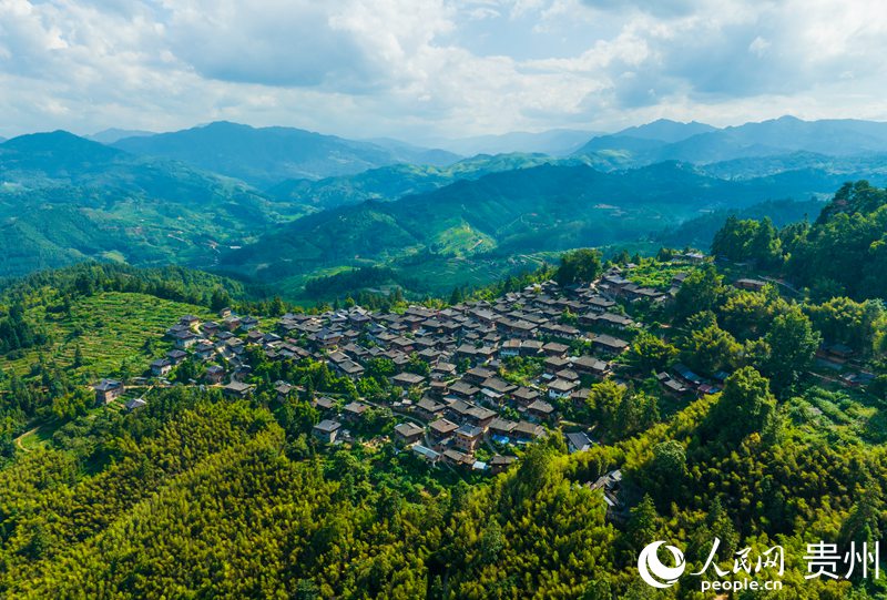 航拍群山中的岜沙苗寨。人民網(wǎng) 陽(yáng)茜攝