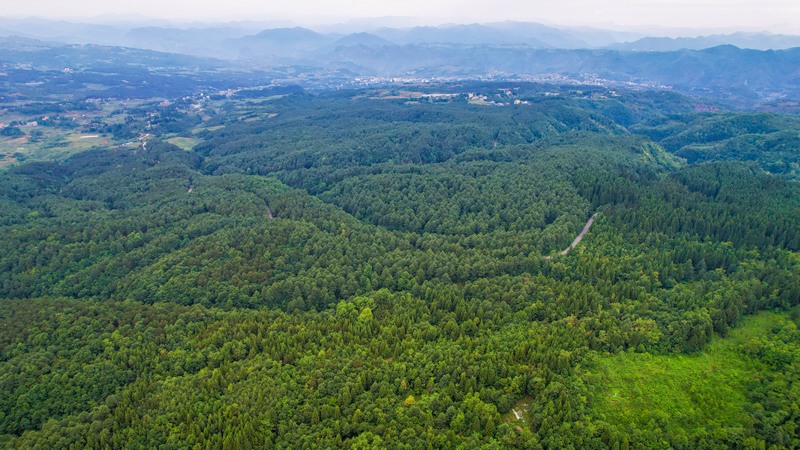 圖三貴州省畢節(jié)市七星關(guān)區(qū)拱攏坪國(guó)家森林公園航拍 (張媛媛供圖).jpg