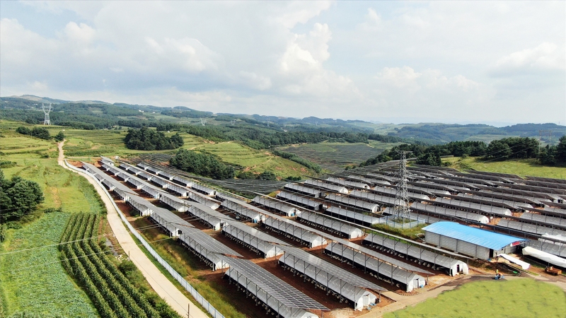 夏家坪子食用菌種植基地。劉大珩攝