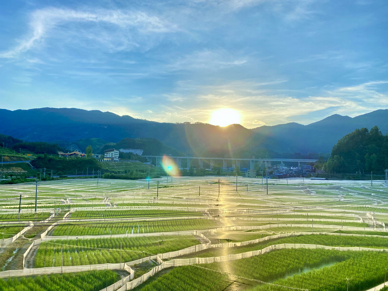 田園風(fēng)光。