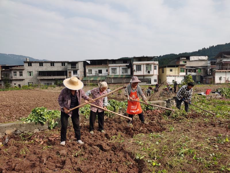 同民鎮(zhèn)壩區(qū)正在勞作村民 習(xí)水縣融媒體中心供圖.jpg