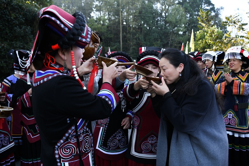 11月19日，在百里杜鵑管理區(qū)迎豐村，村民為前來(lái)參加彝族年的嘉賓送上攔門酒。李光輝攝