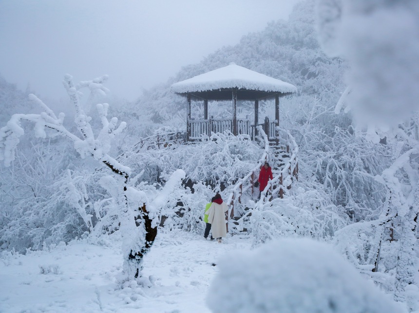 游客在六盤水市梅花山旅游景區(qū)拍照打卡。趙樺攝