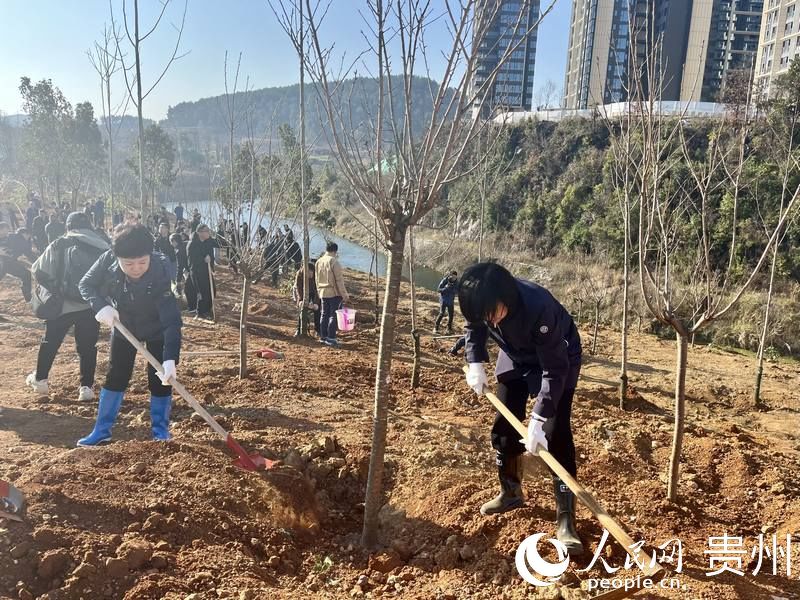 干部群眾植樹干勁足。人民網(wǎng) 李麗萍攝