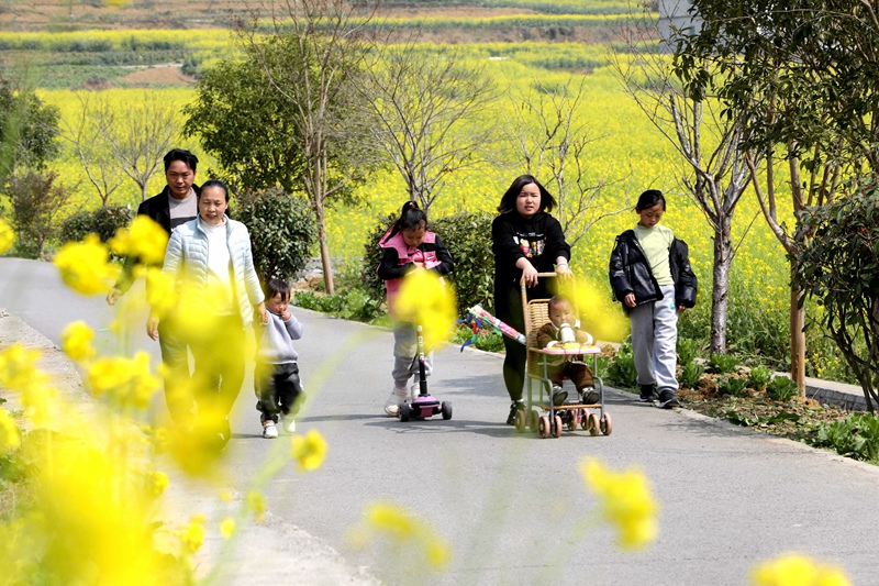 旺草鎮(zhèn)萬畝油菜花海，春風拂動，鄉(xiāng)間翻起層層金色“花浪”，吸引了不少游客前往賞花踏青。  陳賢琴 攝