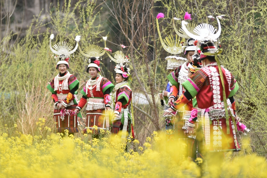 3月10日，游客在油菜花叢中游玩。凱尚宇攝