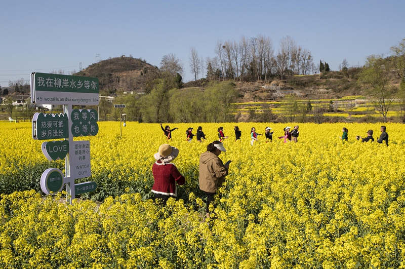 游客在黔西市洪水鎮(zhèn)解放村觀賞油菜花。