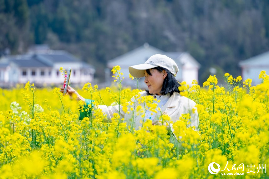 在油菜花中拍照的游客。人民網(wǎng)記者 涂敏攝