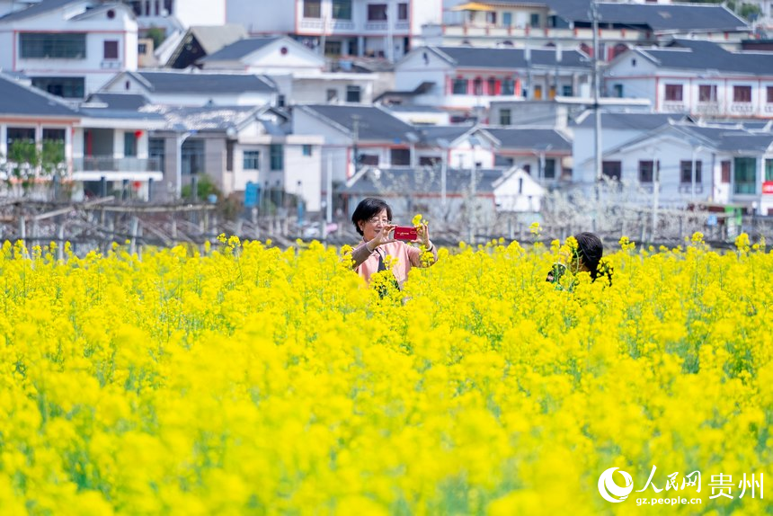 在油菜花中拍照的游客。人民網(wǎng)記者 涂敏攝