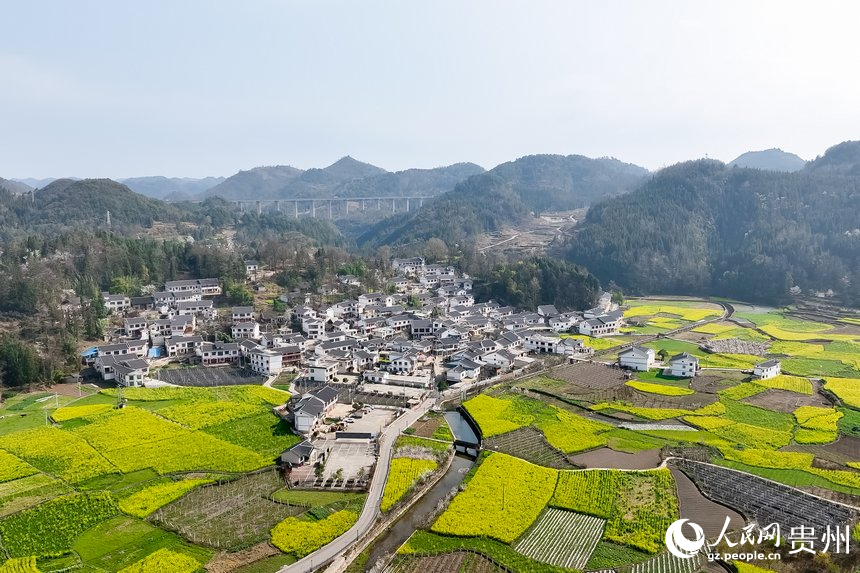 航拍百花湖鎮(zhèn)下麥城村盛開的油菜花。人民網(wǎng)記者 涂敏攝