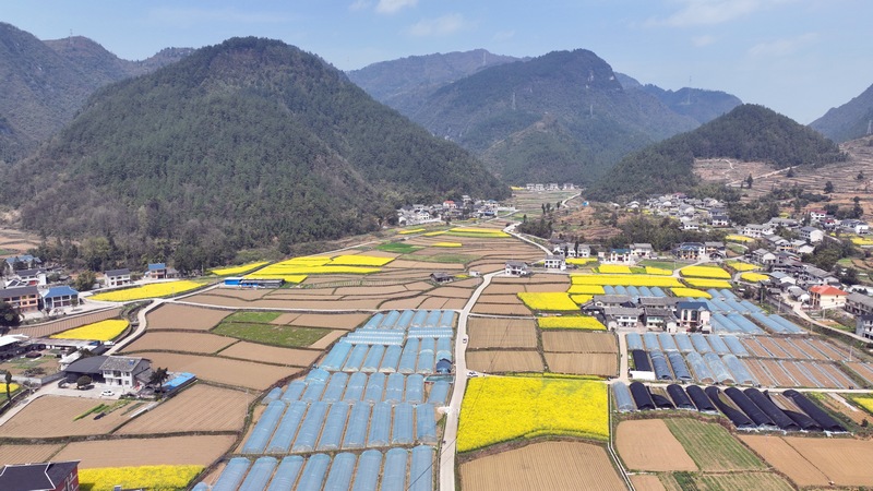 （圖6）遵義市綏陽(yáng)縣風(fēng)華鎮(zhèn)糧油種植基地.jpg