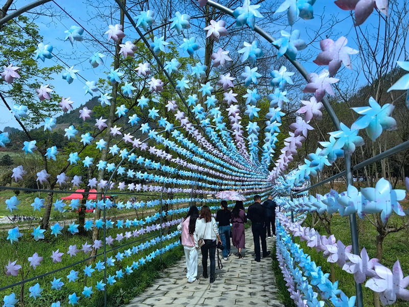 游客及研學(xué)愛好者在校園內(nèi)踏青觀景。黔南職院供圖