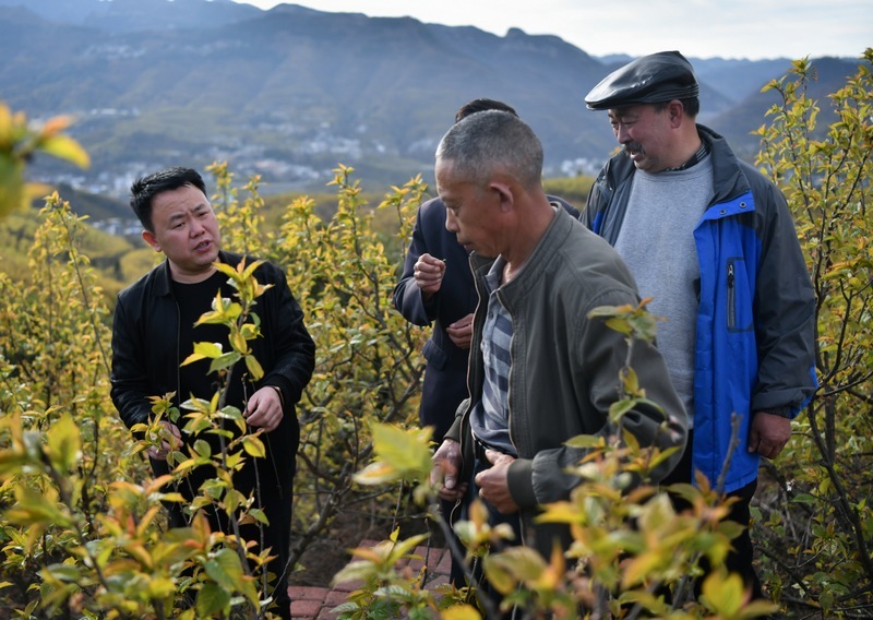 查看果樹生長情況。納雍縣委宣傳部供圖