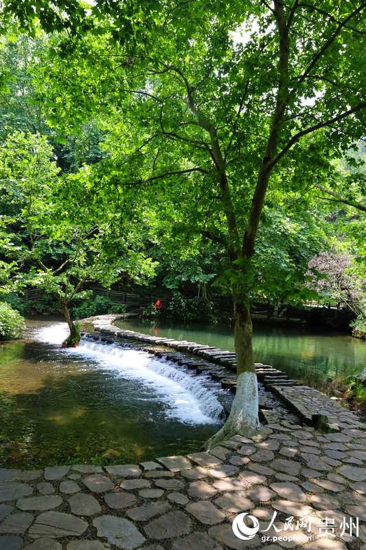 貴陽“城市綠肺”——阿哈湖國家濕地公園。人民網(wǎng) 潘佳倩攝