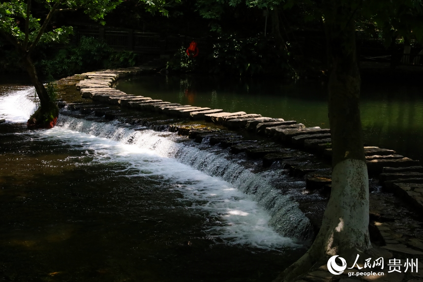 貴陽(yáng)阿哈湖國(guó)家濕地公園里潺潺流水。人民網(wǎng) 潘佳倩攝