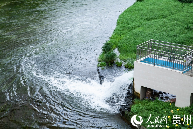 青山再生水廠出水口出，經(jīng)過處理的再生水源源不斷流入南明河。人民網(wǎng)記者 王秀芳攝