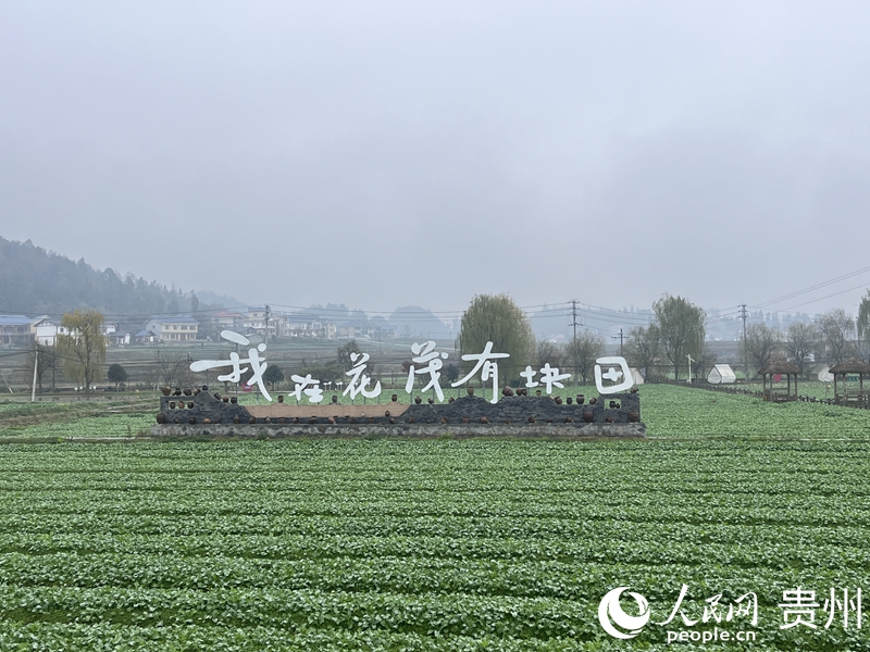 花茂村田園景致如畫。人民網(wǎng) 陳潔泉攝