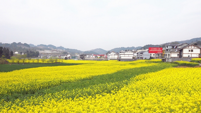 桐梓縣官倉美麗鄉(xiāng)村。 陳娟攝