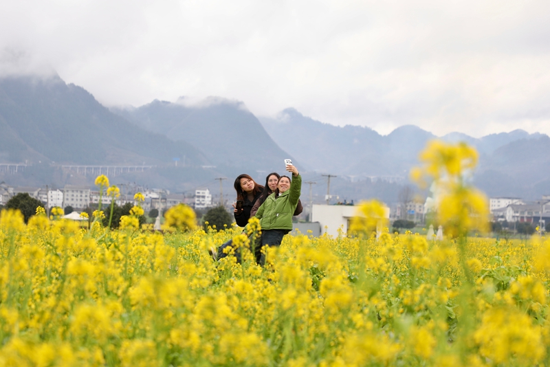 4 圖為游客享受著春日油菜花的愜意與美好。.jpg