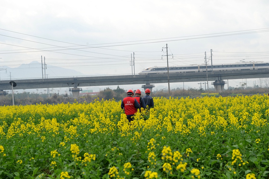 檢查供電線路，助力春耕生產(chǎn)。胡乾攝