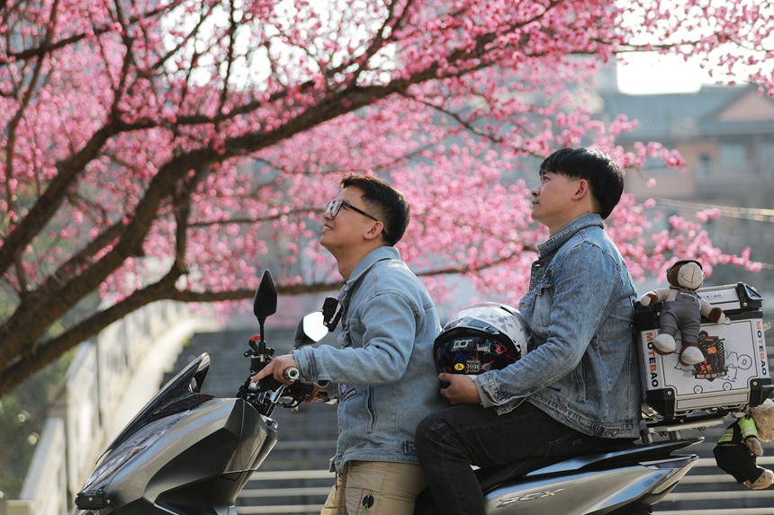 3月1日，貴州省黔西市西門外城郊的梅花迎春綻放，吸引游人紛紛前來觀花賞景、拍照打卡，樂享暖春時光。