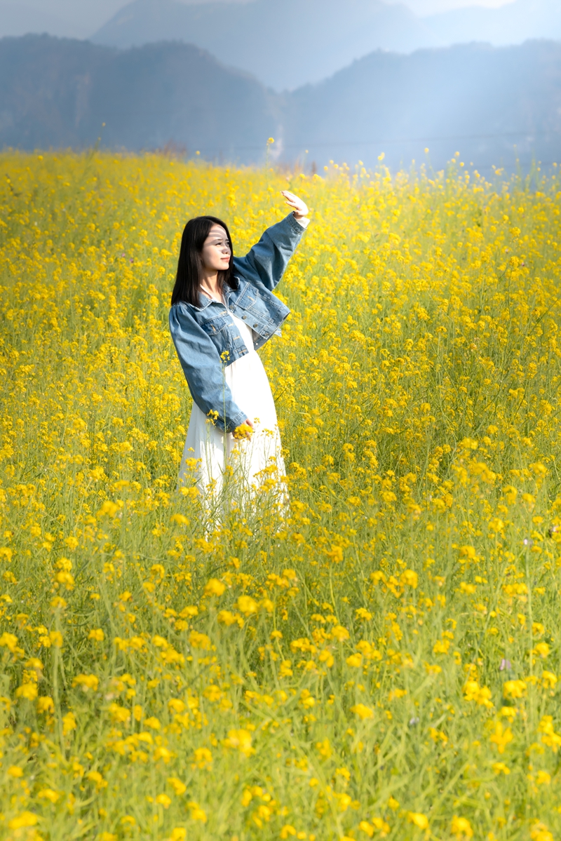 油菜花。